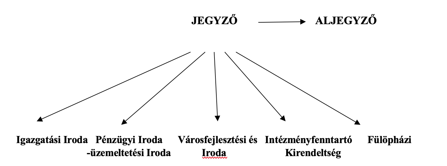 szervezeti struktura